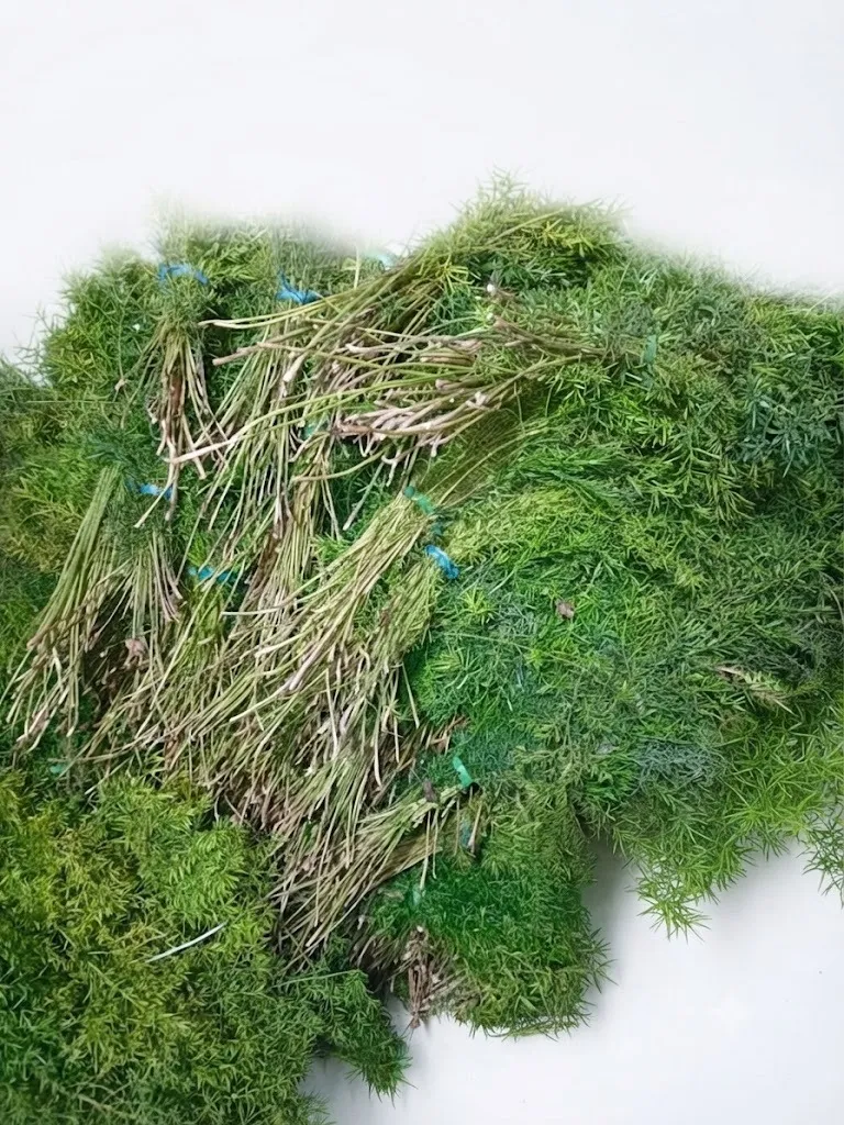 Spara Grass