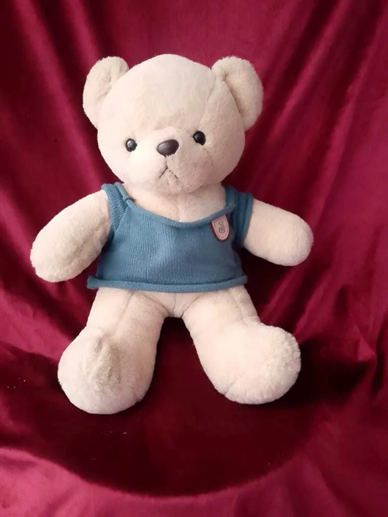 White & blue Teddy
