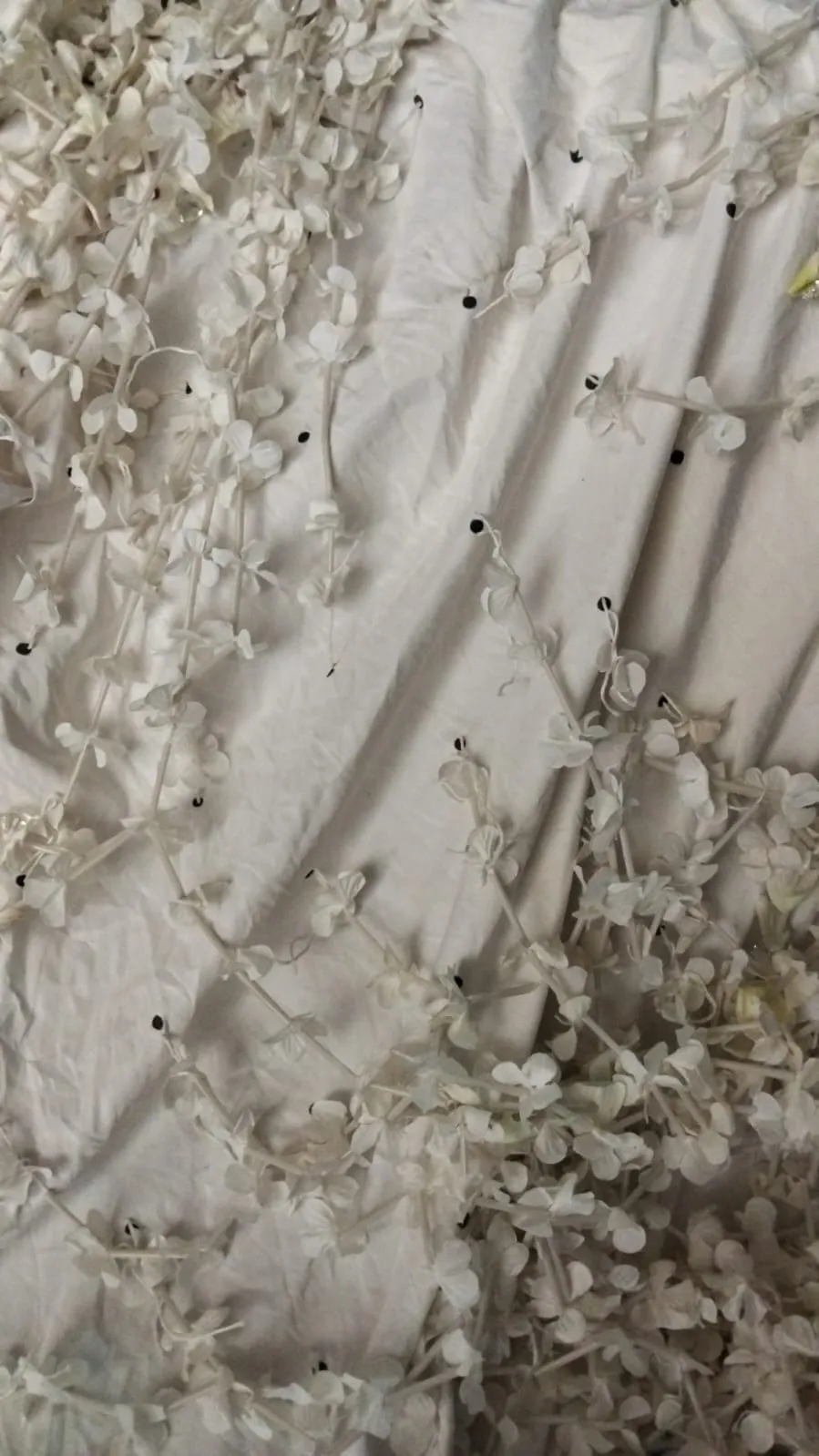 White Patterned Ceiling Roof (1)