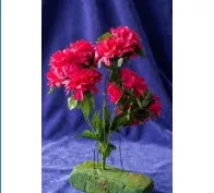 Shoking Pink Carnition F-035 Quantity: 536