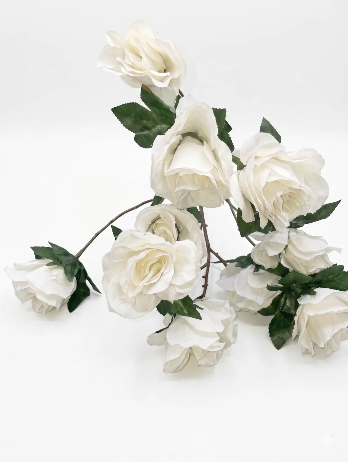 White rose