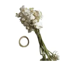 White Orchid