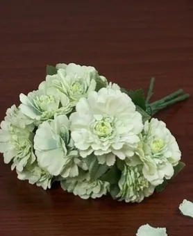 Mint Green Carnition