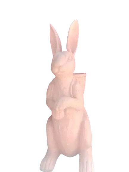 Big Rabbit