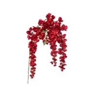 Maroon Bail Hanging