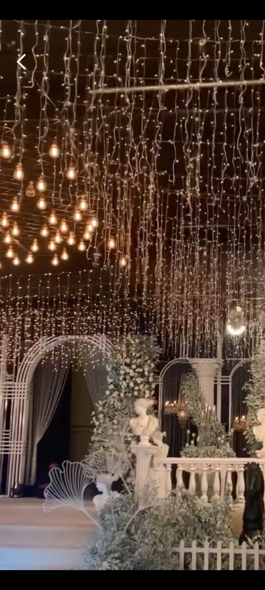 Fairy lights frenges 10' x 3'