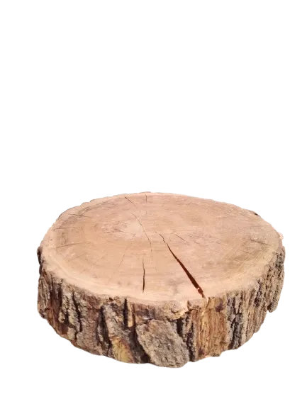 Woodlog Centerpiece 8 inch