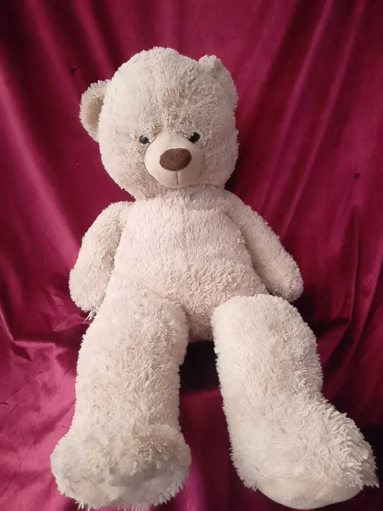 Cream Teddy