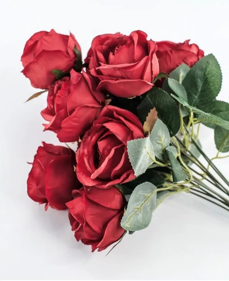 Maroon Local Rose