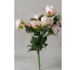 Light Pink Rose