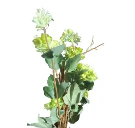 Green Hydrengea