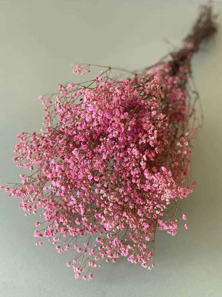 Pink Gypso