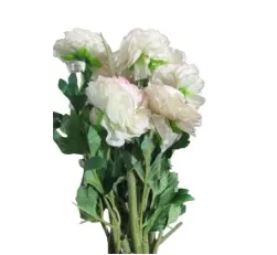 White Peony