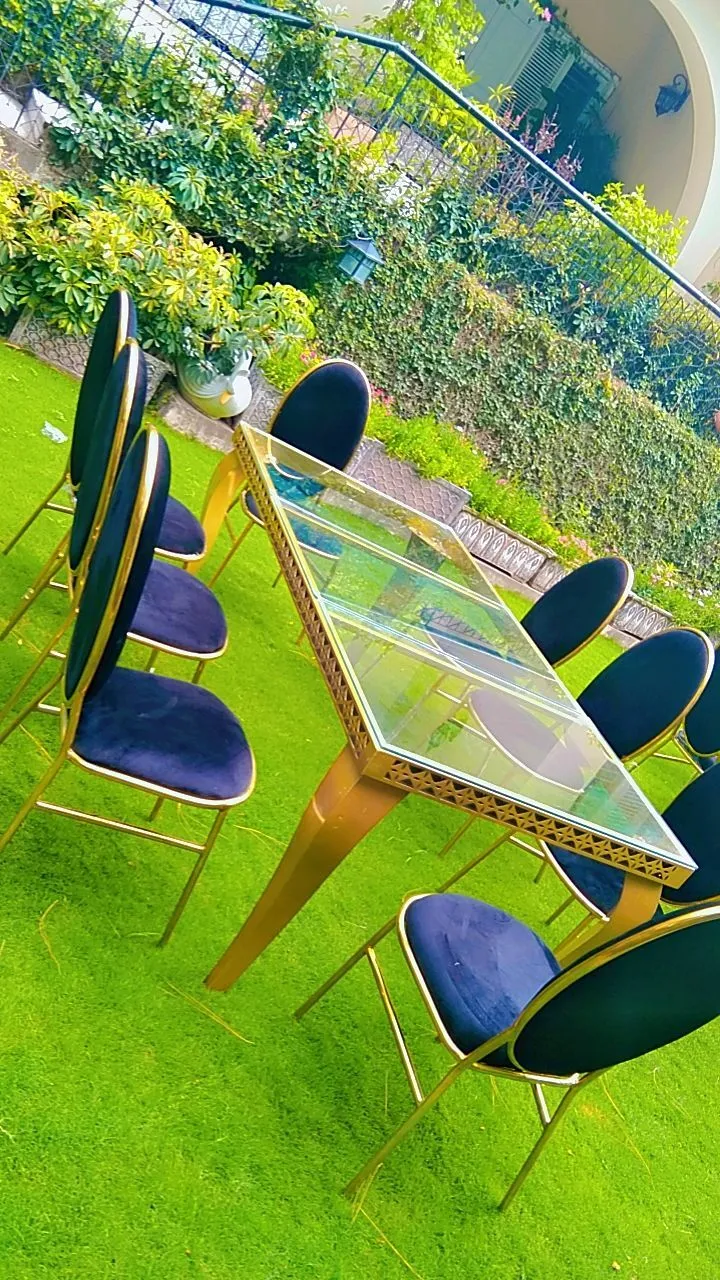 Velvet Chairs 