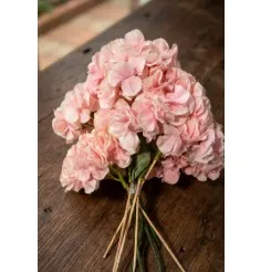 Baby Pink Hydrengeas