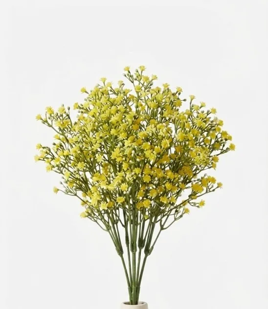 Yellow Gypso