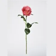 Pink Stick Rose