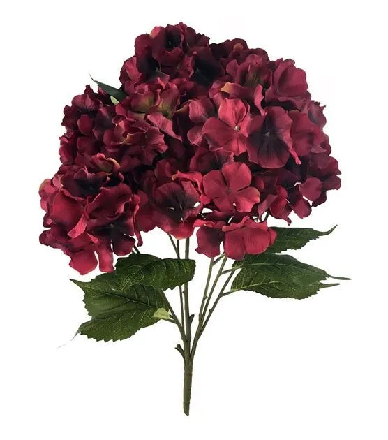 Maroon Hydrengea
