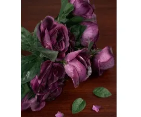 Plum Purple Rose