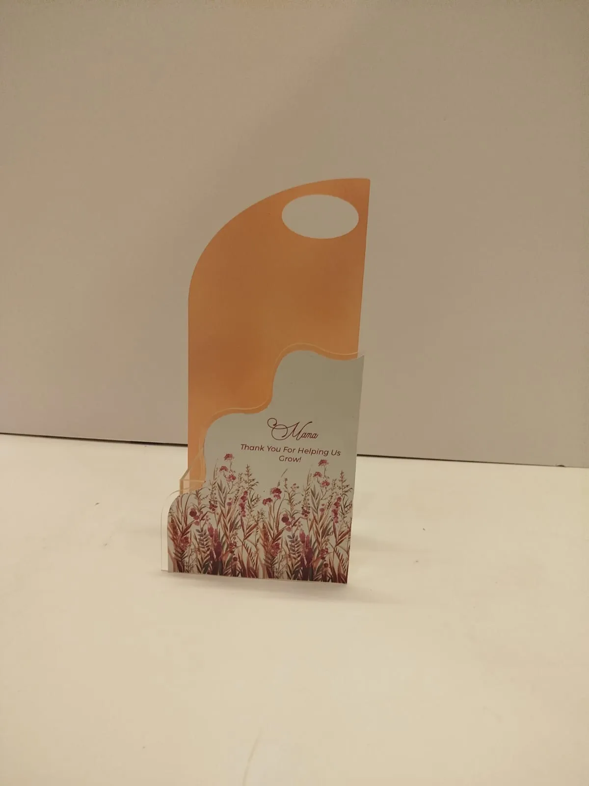Peach arch shape acrylic bag Size 5x3 inches Height 12 inches