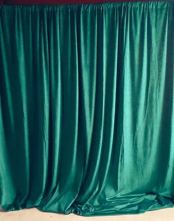 Olive Green Velvet Curtains (48)