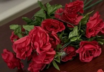 Red Rose