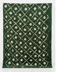 Green Sitari panel