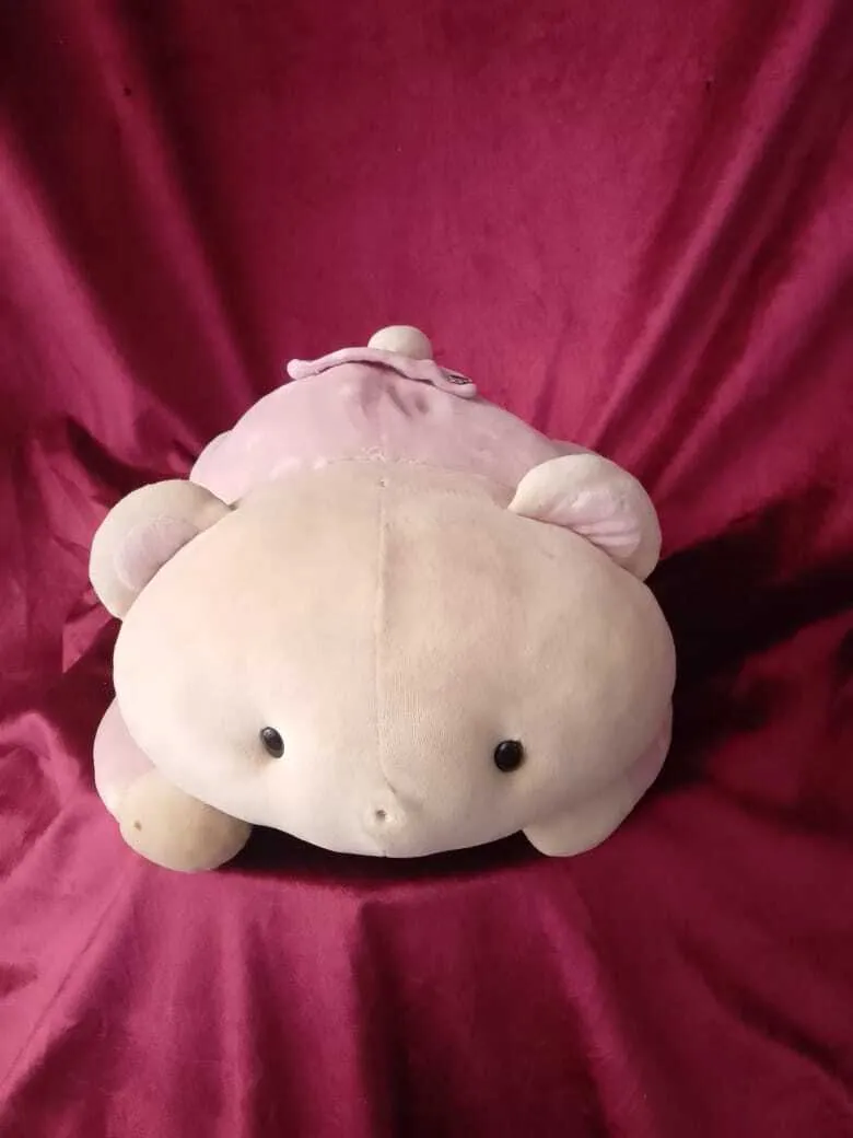 Pink Teddy
