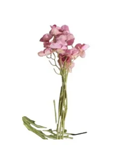 Pink Orchid