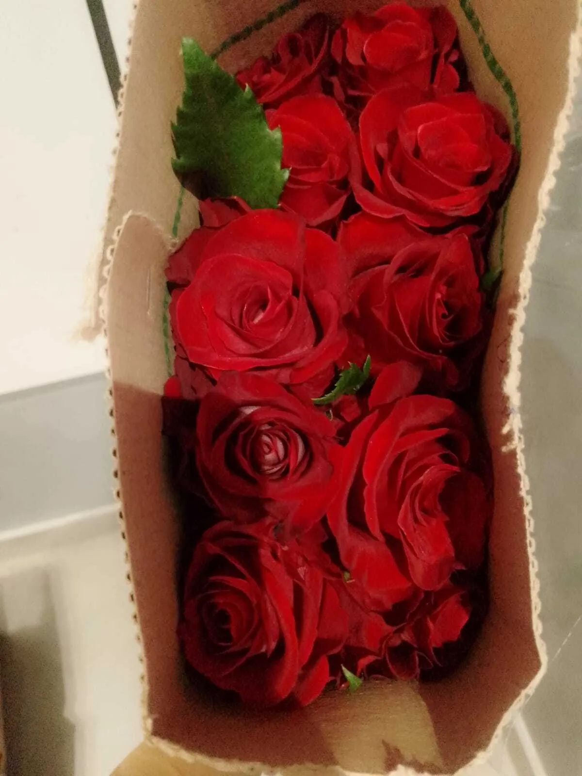 Maroon Rose