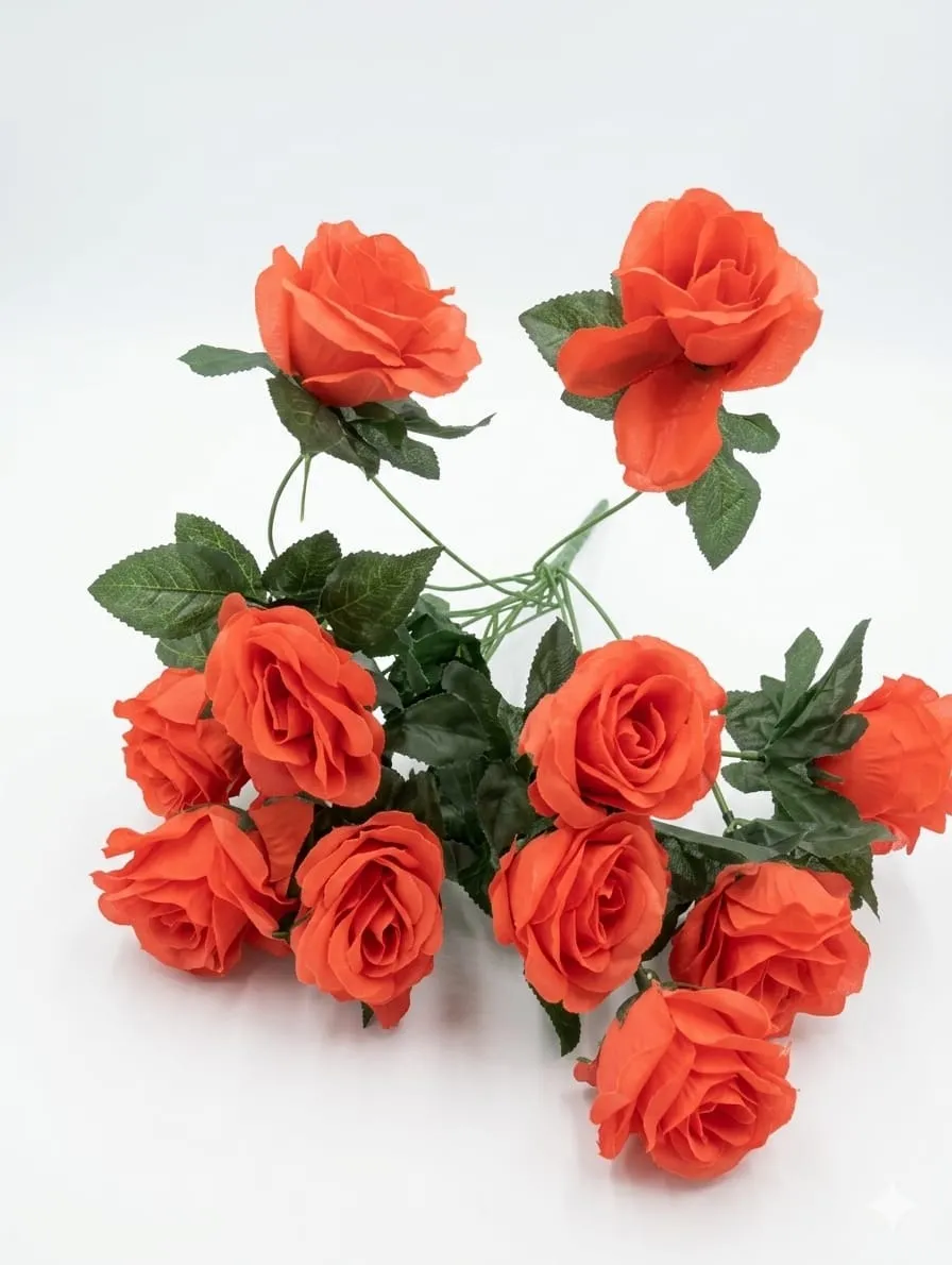 Orange rose