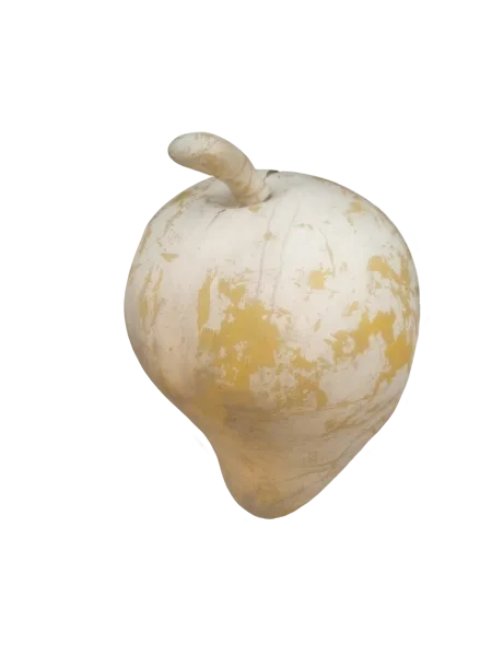 Medium Fiber Mango Prop (6)
