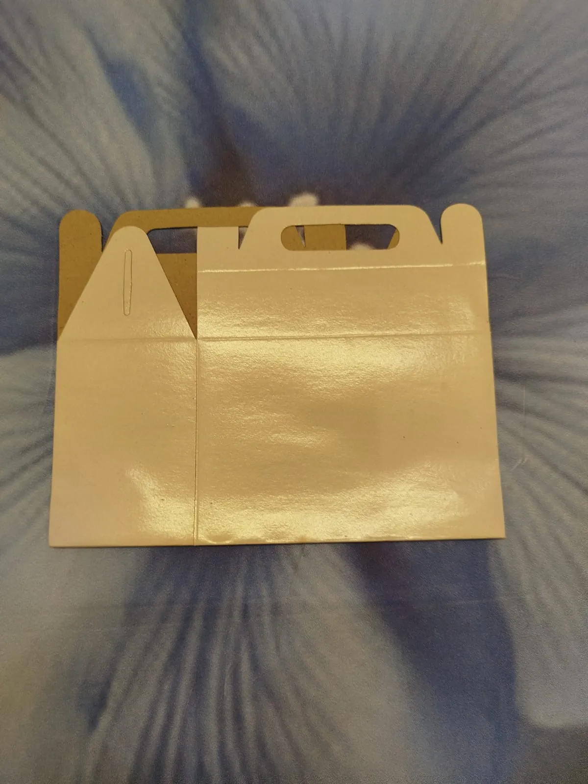 AB white goodie bags