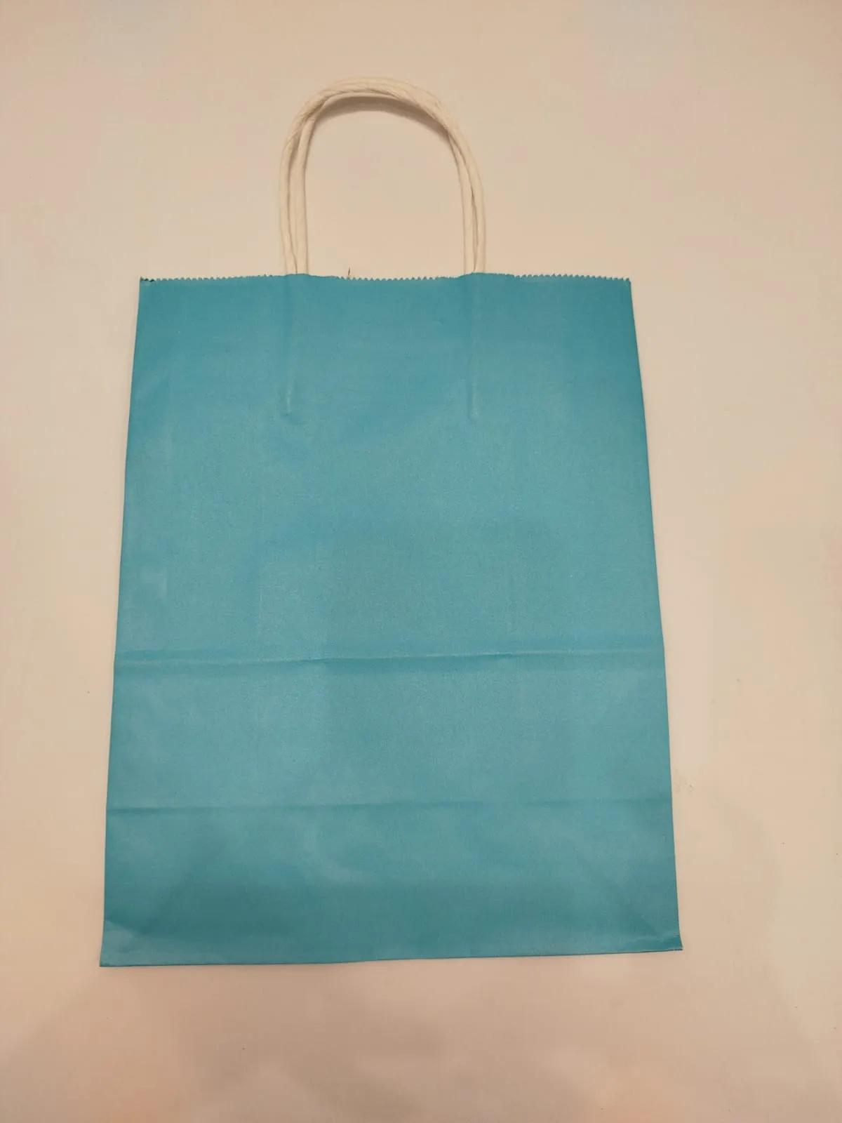 Blue paper bags 10' x 8'