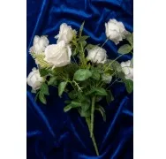 White Local Rose F-044 Quantity: 50