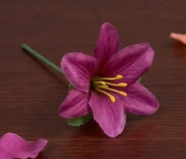 Plum Purple Lily