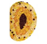 Pasted Flowers Mango
