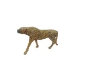 Leopard Standing