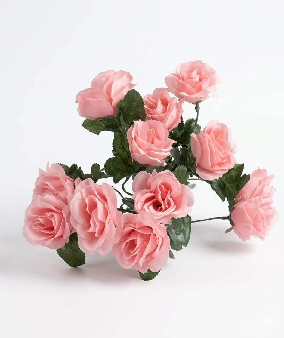Pink rose