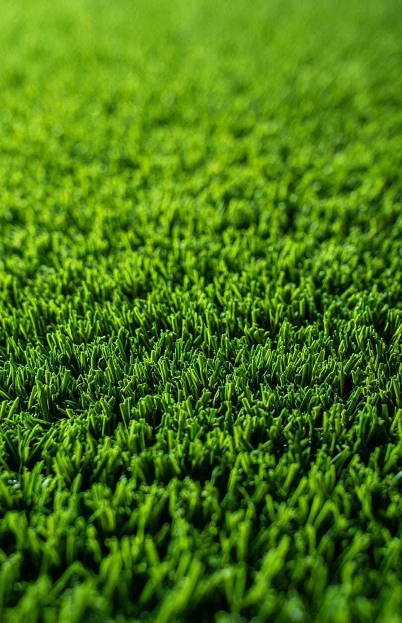 AstroTurf