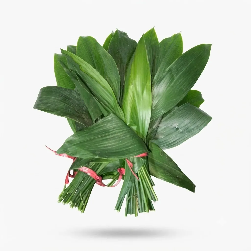 green dracaena