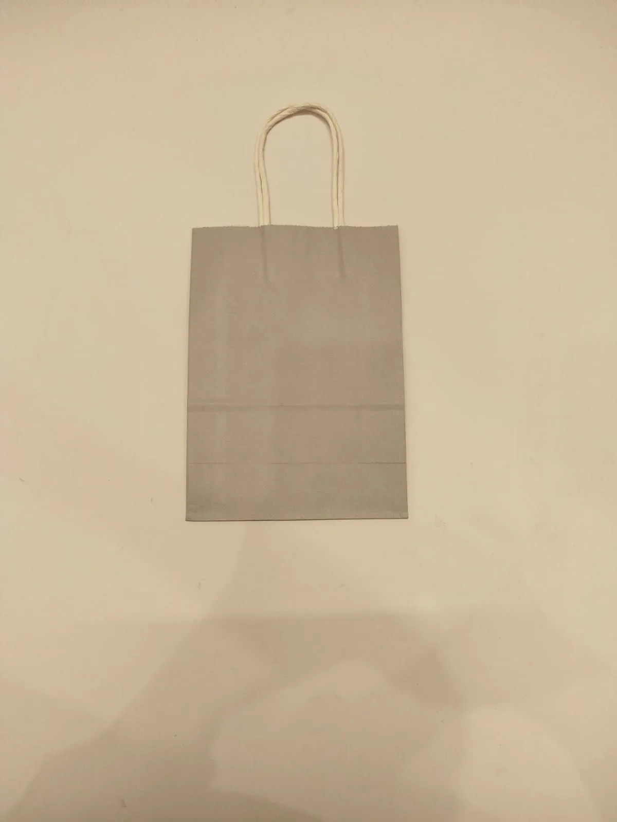 Grey paper bags 6' x 8'