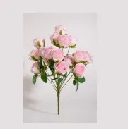 Pink Local Rose