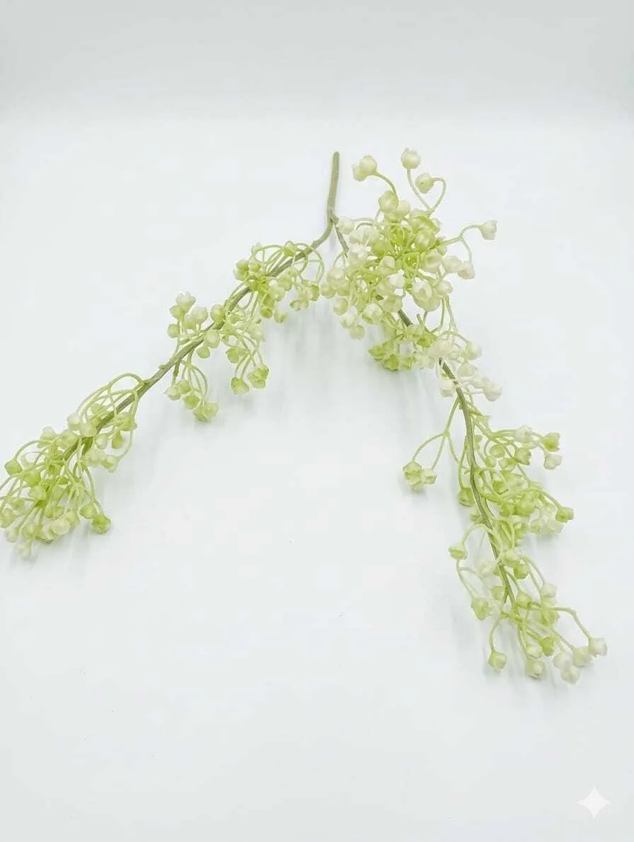 white gypso