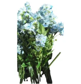 Light Blue Chrysanthemum