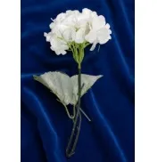 Blue Gypso
