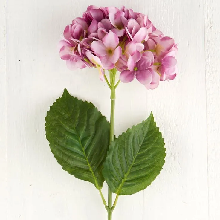 Double Shaded Pink Hydrengea