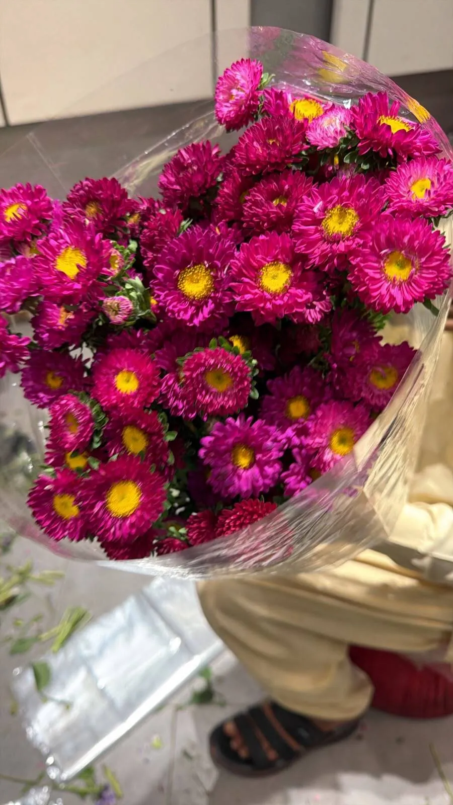Aster