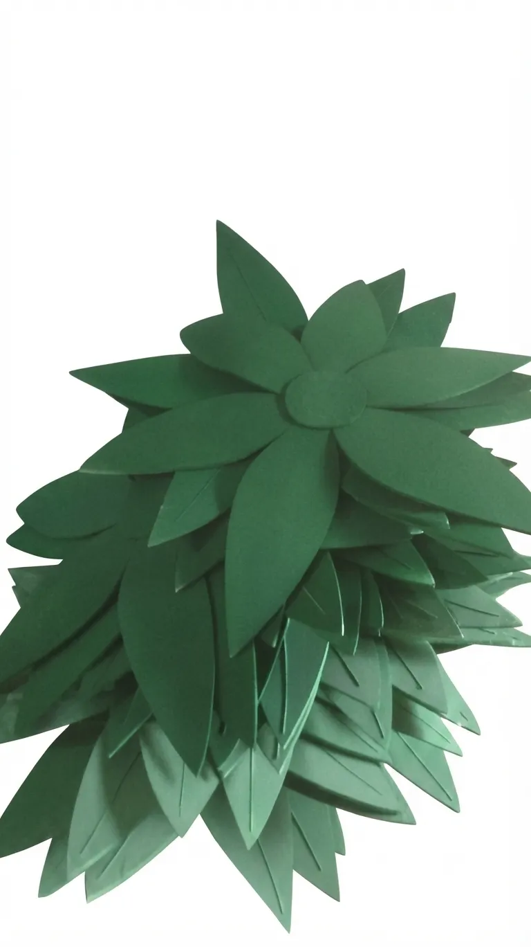 Eva Flowers  