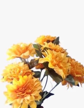 Yellow Carnition